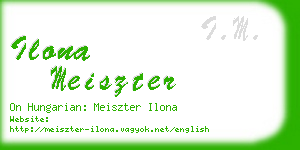 ilona meiszter business card